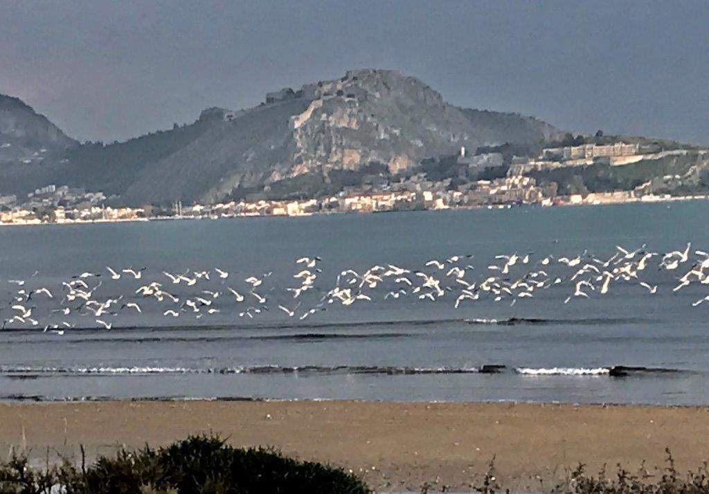 Casa Lela 3...Hydra Διαμέρισμα Μύλοι Εξωτερικό φωτογραφία